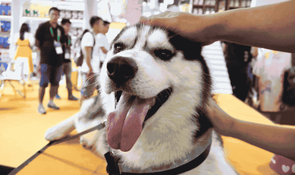 1685706401443295.png 2.png